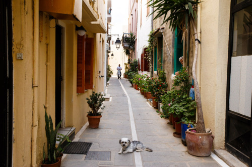 Another of Rethymno’s side streets. Loved the mix of things going on in this scene.