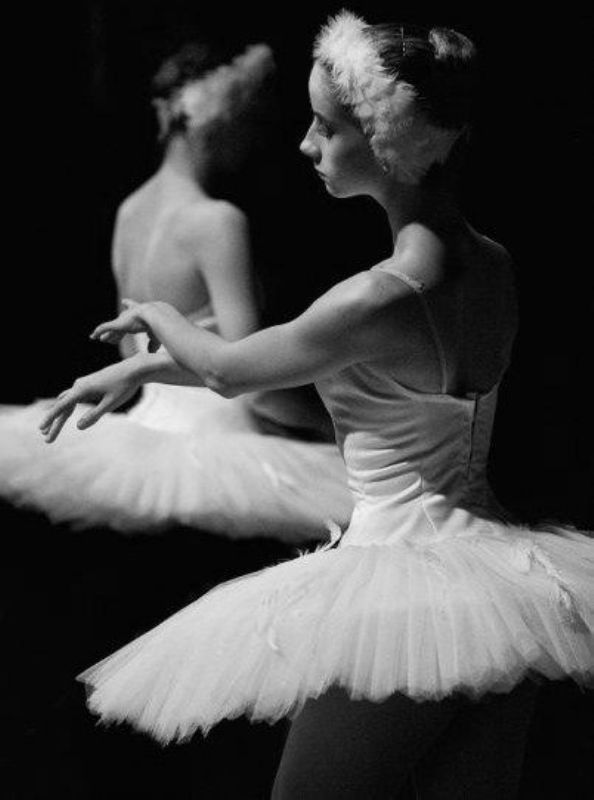 lordbyron44:  Swan lake