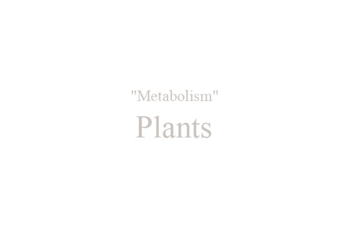 minori0000:My artwork “Metabolism” express “Sun, Plants, Water, and Ground” 