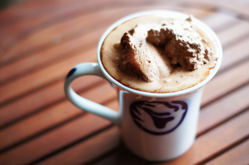 confectionerybliss:Ultimate Hot Chocolate with Sea Salt &amp; Cocoa Whipped Creamby Chocolates &