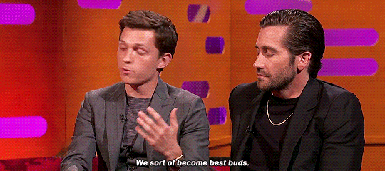 dumbass-bitch-disease:  👀