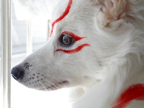 japan-ism:  Ōkami Amaterasu Cosplay 