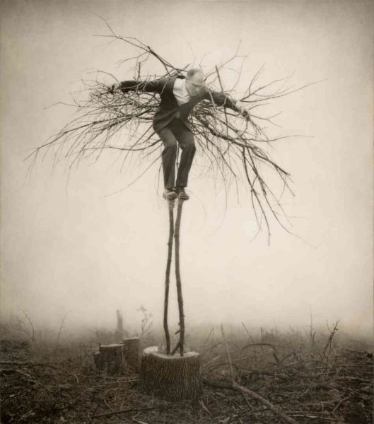 f-l-e-u-r-d-e-l-y-s:  asylum-art:  Robert and Shana ParkeHarrison  The surreal world