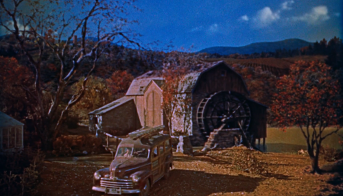 All That Heaven Allows (Douglas Sirk, 1955)