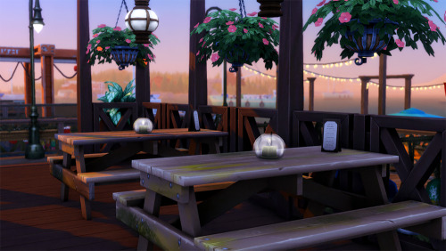 kazroze: as far as the locals know, the salty paw has been there forever - a staple of brindleton ba