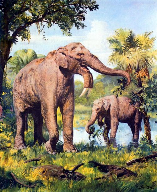 Zdenek Burian’s Cenozoic Mammals.