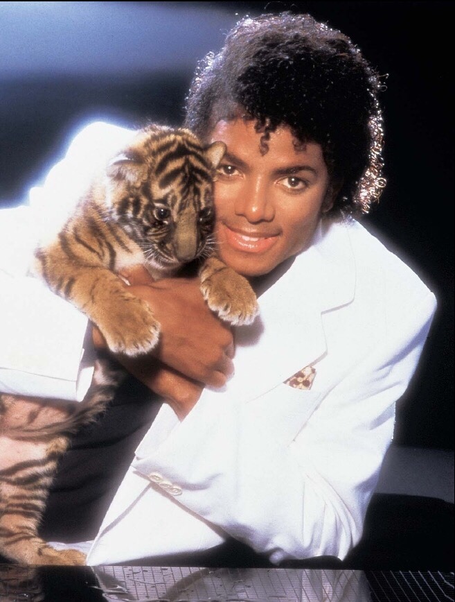xtechnicolorclimax:  Thriller is now 33x Platinum. 33. THIRTY-THREE.   The first