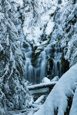 c1tylight5:   Proxy Falls | Daren Bledsoe    