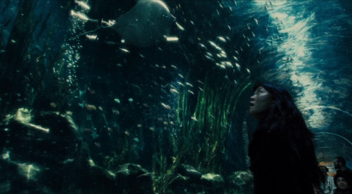 saffronsugar:sappho-s:Snowpiercer, dir. Park Chan-Wook.the director is joon-ho bong!