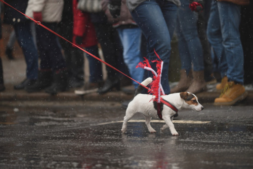 lamus-dworski:Celebrations of Polish Independence Day in Gdańsk, Poland, 11.11.2016.Photos by Domini