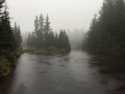 90377:   	First Lake Downpour by Martin 