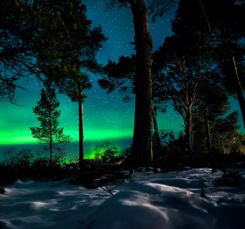coiour-my-world - Winter Dream ~ by Morten Aspaas