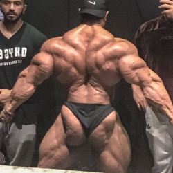 addicted2muscl:  Roelly Winklaar INSANE Back