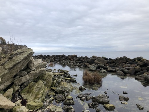  Stevns Klint, Denmark. Stevens Klint was inscribed on the UNESCO World Heritage List in 2014 becaus