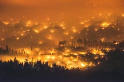 rorschachx:  A long exposure image shows the El Portal Fire burning near Yosemite national park, California | image by Stuart Palley 