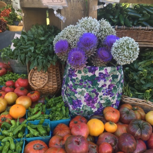 Just a few of our late July harvests: ‘Lacinato’ black kale, tomatillos, jalapenos, heirloom tomatoe