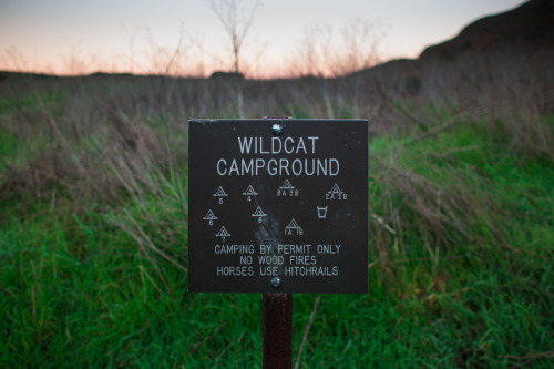 POINT REYES: WILDCAT CAMPGROUNDSimply beautiful! It can be difficult to reserve a spot here on the w