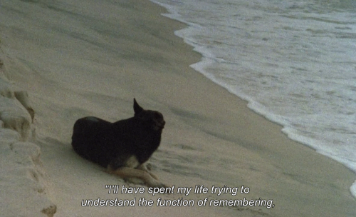 folms:Sans Soleil (Sunless, 1983)Directed by Chris Marker