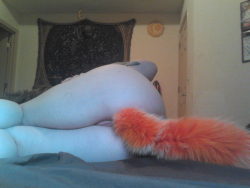 alice-is-wet:  my new tail <3 <3  I