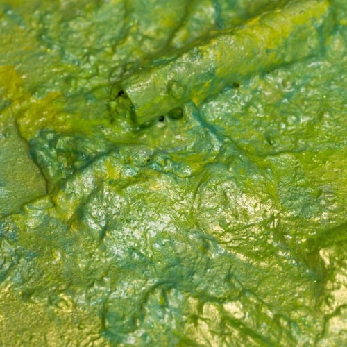 New! 'Citrus Maxima' Close-up #mixedmedia On Canvas Size: 40 H X 60 W X 2 Cm, 15.8" X 23.6" X 0.8" //#abstractexpressionism
