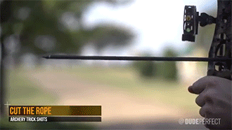 dauntlessardor:  sizvideos:  Video  heavychevydeerhunter, we must test your skills