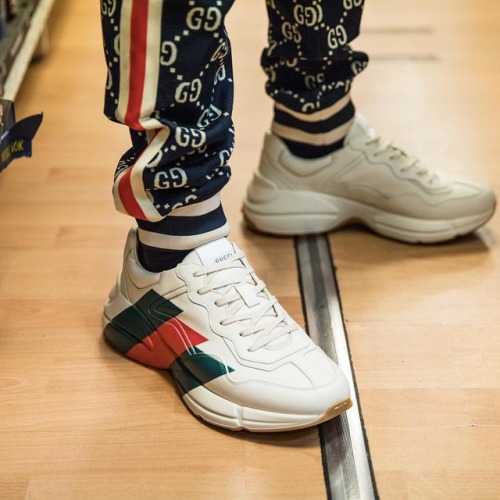 gucci rhyton web print