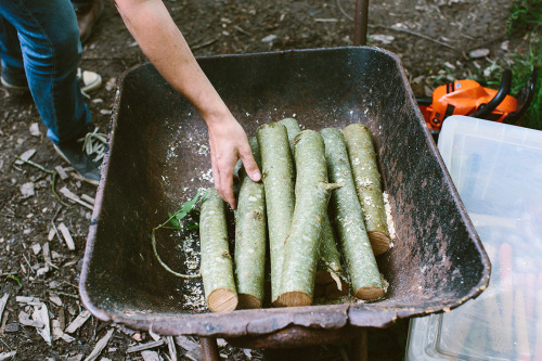 Spoon carving with Hatchet + Bear Summer Camp at Fforest