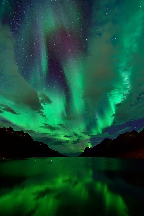 XXX etherealvistas:  Aurora in Ersfjordbotn (Norway) photo