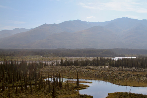 Exploring the braided Koyukuk River just outside of Wiseman, AlaskaTaken August 2020