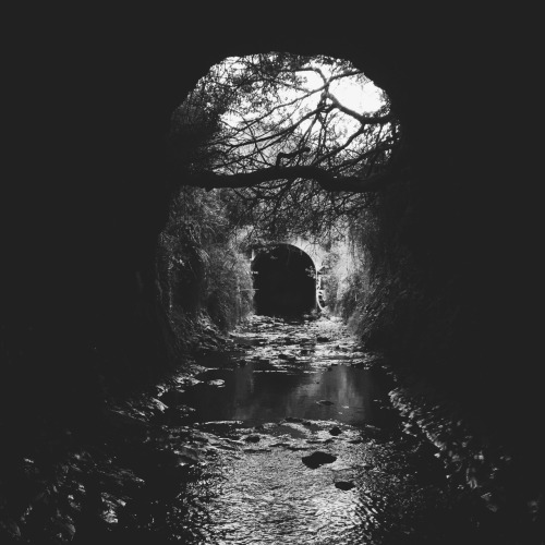 photographersdirectory:  Passage by Steve Vu I got back into photography in the past year because of my iPhone. I am an iPhone photographer who also shoots film casually. My purpose for taking photos is to preserve experiences I have had in life.