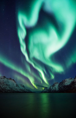 wnderlst:Stunning Photos of the Aurora Borealis in Norway