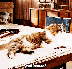 you know i love you donna