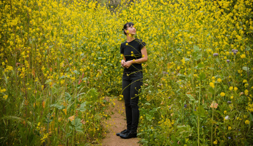 openbooks: Solstice Canyon, Malibu, CA.  2009  Reblogging my own photo because I thought about the i