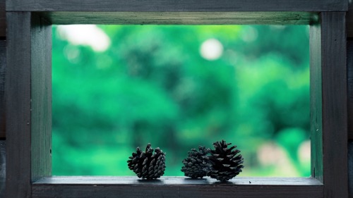 Please Be Healed By The Greenery You See.