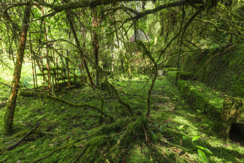 On the banks of the brook… Ⅱ