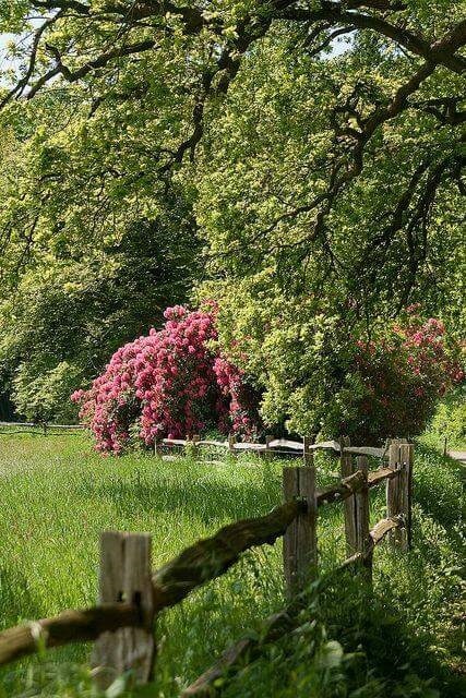 Le temps qui passe dans le jardin d'Eugénie