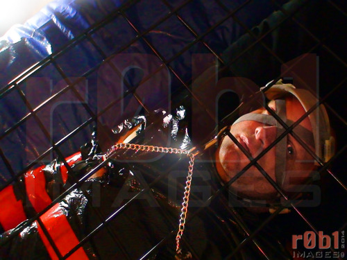 r0b1images:Meanwhile back in the cage…http://r0b1.comhttp://twitter.com/r0b1imageshttp://www.facebook.com/r0b1imagesReblog any r0b1images post
