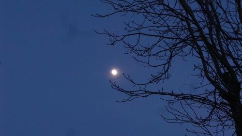 More pictures of the moon. It was end of February and the snow made an appearance, I think it’