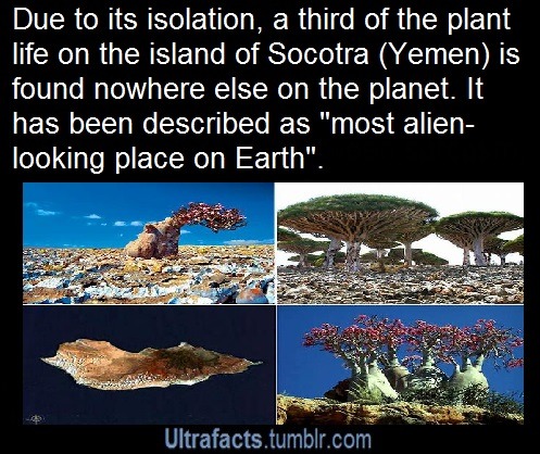 dimondhearted01:  fatherizzyisms:  ultrafacts:   More Facts HERE Source  Read the