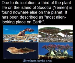 dimondhearted01:  fatherizzyisms:  ultrafacts:   More Facts HERE Source  Read the source article. The photos alone are breathtaking.  Dr. Seuss books in real life. 