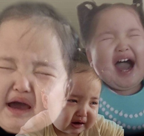 kinglyqueens: a half assed moodboard for those who are suffering from the 3 new smrookies