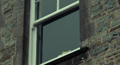 cinemawithoutpeople: Cinema without people: The Lobster (second pass) (2015, Yorgos Lanthimos, dir.)