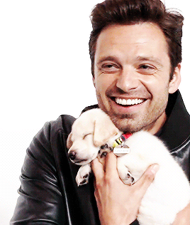 tomhiddluston:Sebastian Stan and a puppy will make your day happier!