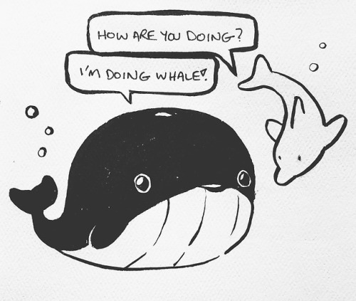 Dolphin and Whale (Inktober)