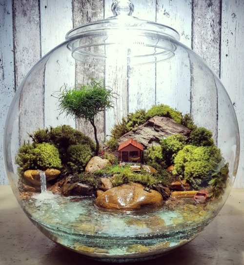 sosuperawesome:Terra Jardim on Instagram