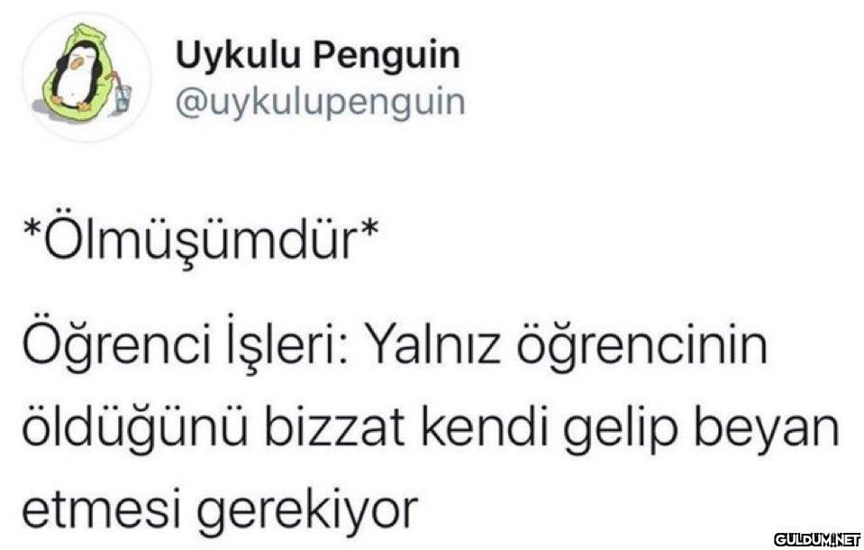 Uykulu Penguin...