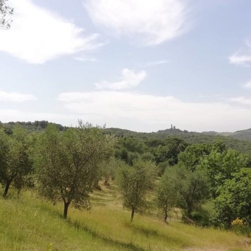 Went for a walk and spotted a #castle on the #hill #tuscany #toscana #travel #travelgram #instatrave