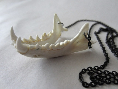 Bone jewelry from BlackWolfTradingPost 