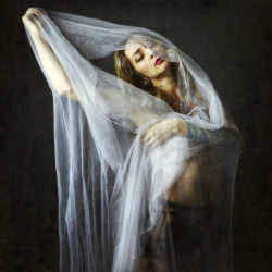 Theresa Manchester - Josephine Cardin