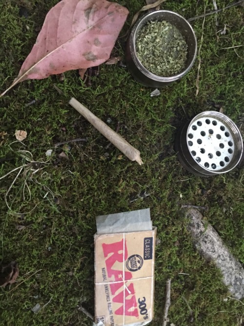 smokened: Enjoying a lazy Sunday in the woods  @smoke-that-bud